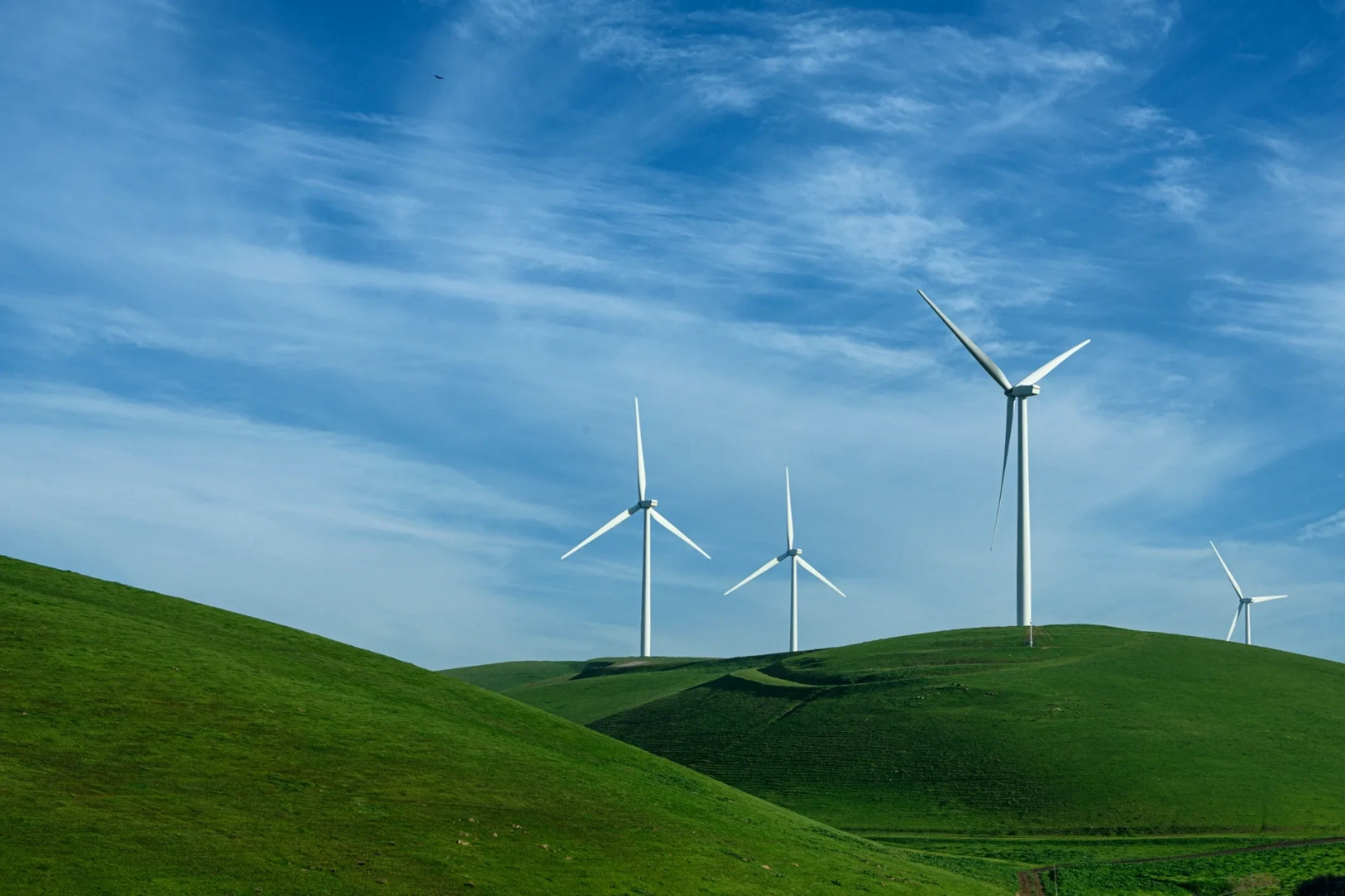 Carbon Management